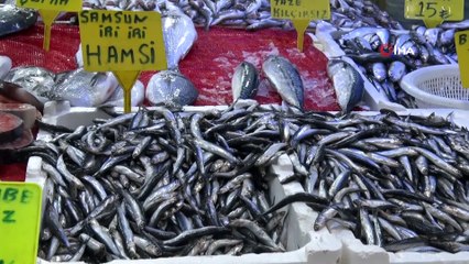 Mezgit 10 TL'lik Fiyatıyla Tezgahların Fenomeni