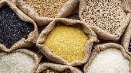 The Vast, Vibrant World of Grains Deserves Your Attention