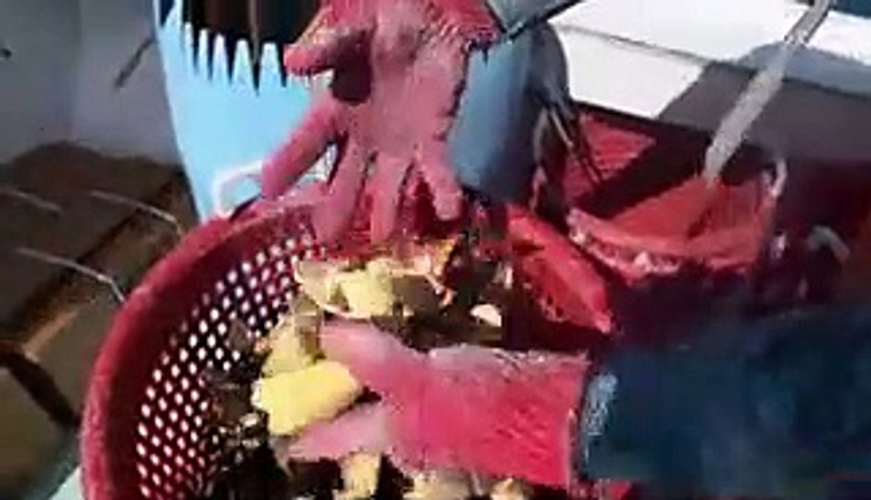 Florida stone crab claws are one of the priciest seafoods you can buy. Here's what makes them so expensive.