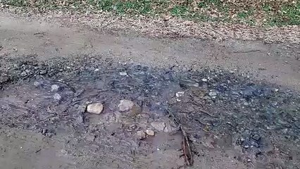 Bu sular Bursa'nın içme suyuna mı karışıyor?