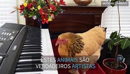 Conheça os animais que tem alma de artista