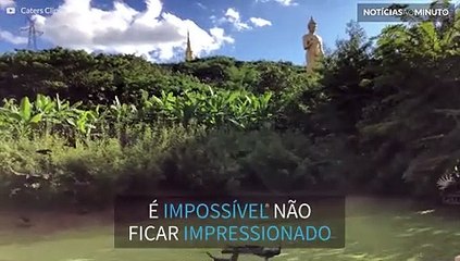 Impressionante: Centenas de pavões enfeitam o céu na China