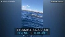 Pescador é cercado por dezenas de tubarões na Austrália
