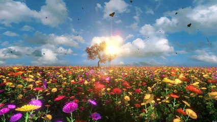 BUTTERFLY NATURE SPECTACOL || RELAXATION || Nature Tune