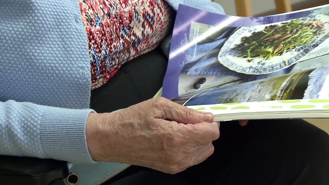 Topo - DES INSPECTIONS INCOMPLÈTES DANS LES FOYERS DE SOINS