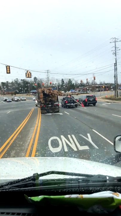 Tree Branch Causes Truck Some Trouble