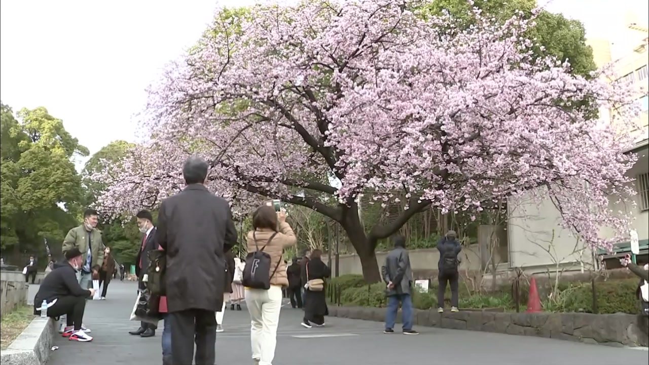 日 도쿄 등 수도권 긴급사태 연장되나?...'신중론' 급부상 / YTN