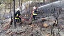 MUĞLA - Fethiye'de çıkan orman yangını söndürüldü