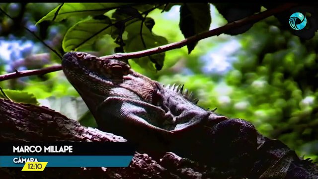 Costa Rica Noticias - Edición meridiana 02 de marzo del 2021