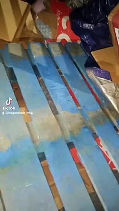 Couple Finds Treasure Trove of Toys While Dumpster Diving