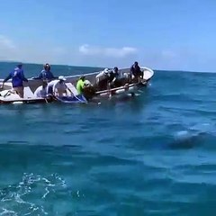 Acuario Nacional rescata ballena  en Bávaro