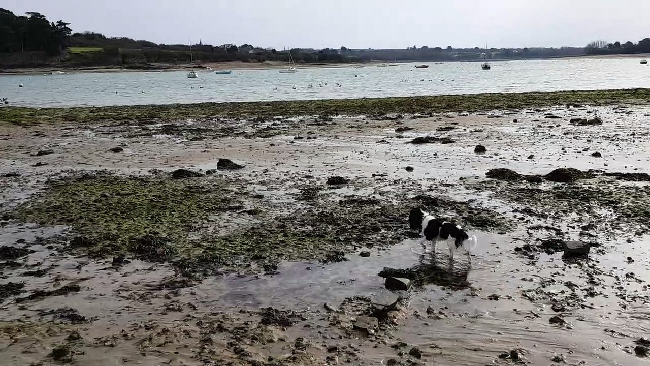 A la plage à Lancieux 21 02 2 Golmotte