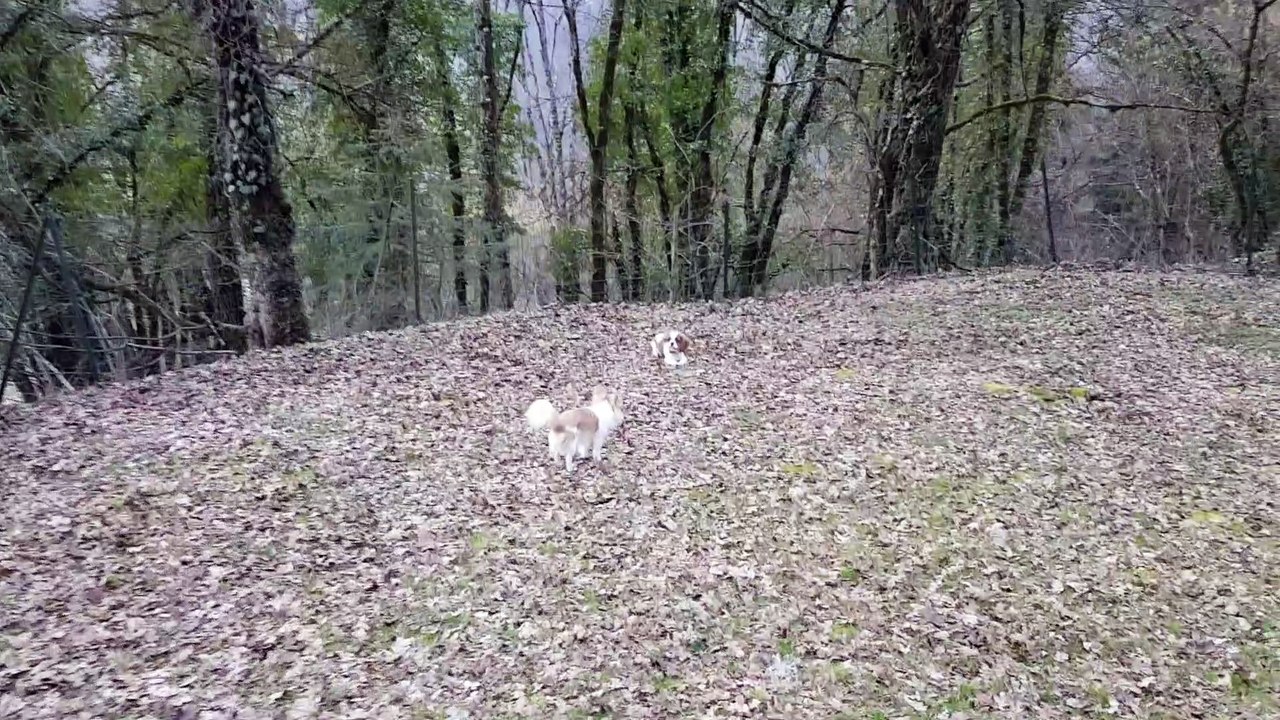 Phandor et Rey jouent dans le jardin du chalet