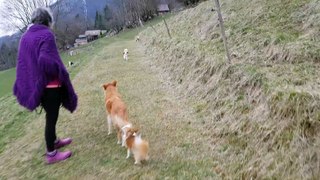 Jeux pendant la promenade du soir