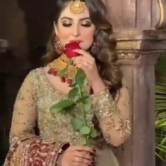 Heartfelt Love Status for WhatsApp ❤️