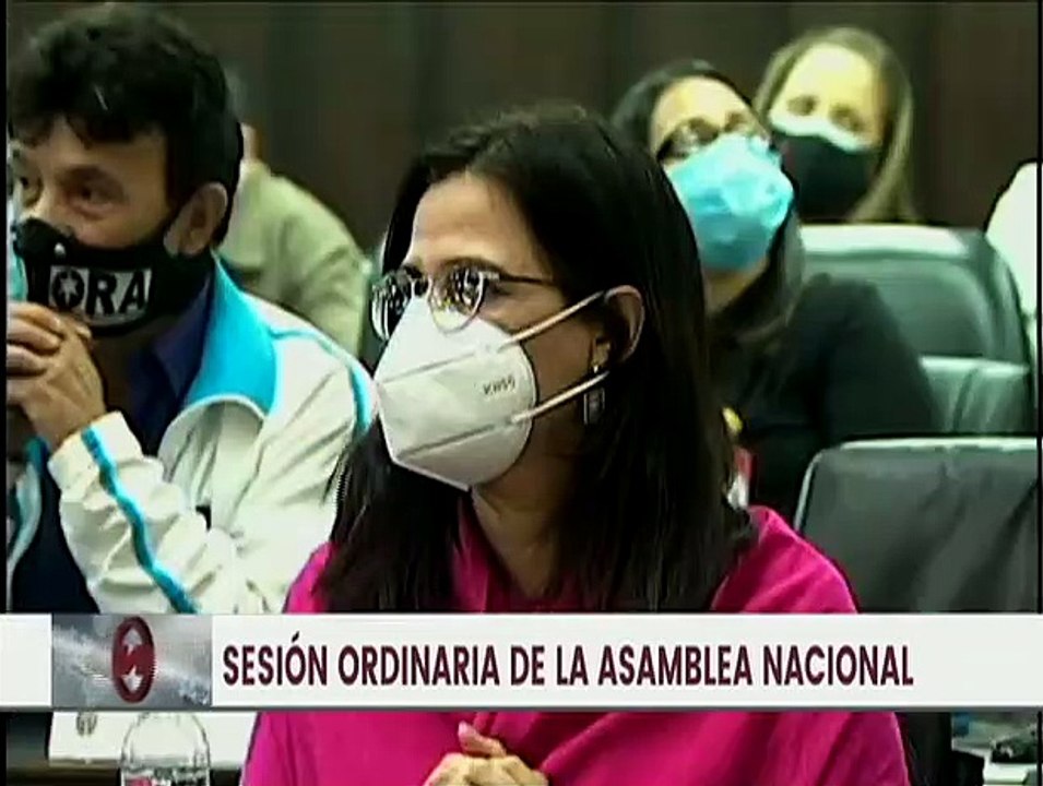 Aprobada en primera discusión la Ley Orgánica sobre el Derecho de las Mujeres a una Vida Libre de Violencia