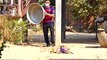 Aluminum Box vs Prank Dog Very Funny - Must Watch Funny Comedy New Prank
