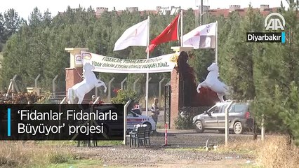 'Fidanlar Fidanlarla Büyüyor' projesi