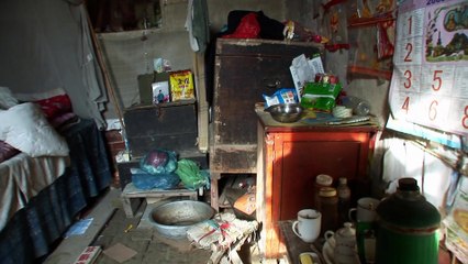 Last Golden Lotus Movie