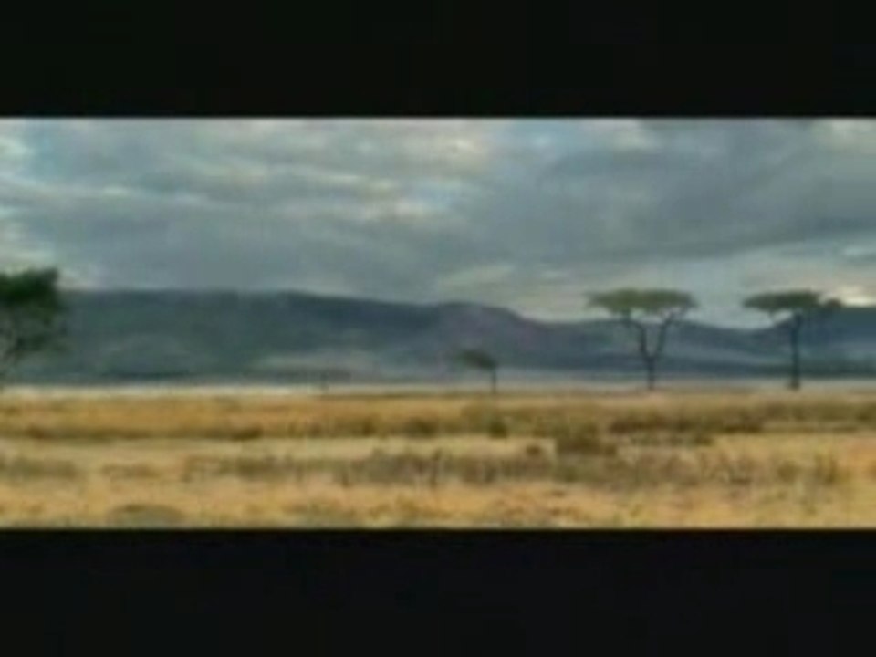 The lion and the antelope