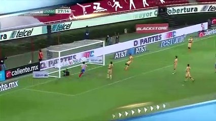 [스포츠영상] 우즈를 위한 골프 스윙 세리머니