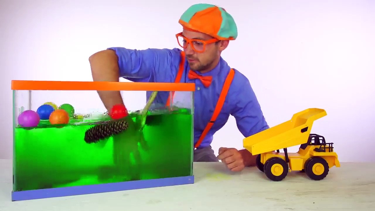 Blippi Español Hundír o Flotar | Experimentos Científicos Divertidos para Niños | Videos Educativos part 1