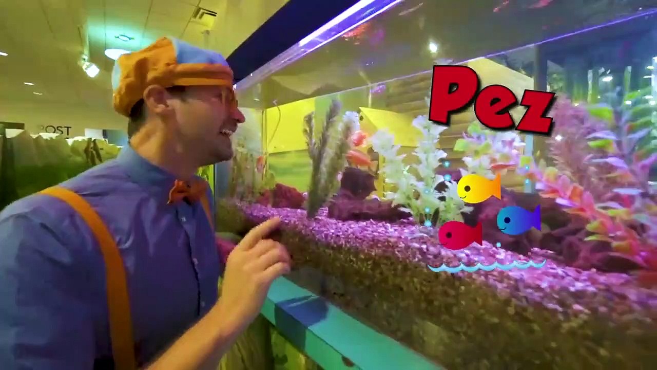 Blippi Español Aprende en El Museo Infantil | Videos Educativos para Niños | Aprende con Blippi part 1