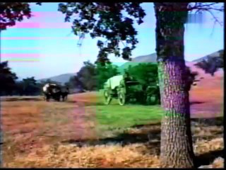 BONANZA ep141 Calamity Sobre el Comstock en Español