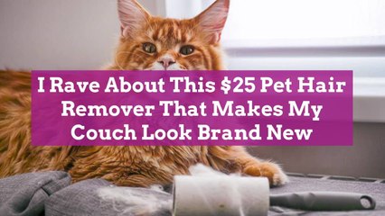 I Rave About This $25 Pet Hair Remover That Makes My Couch Look Brand New