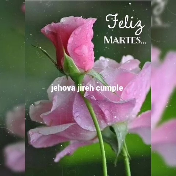 Feliz Martes 
