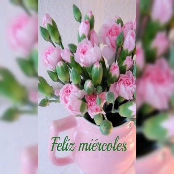 Feliz Miércoles 