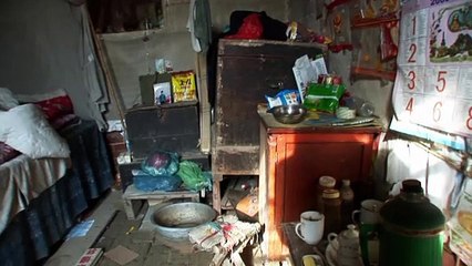 Last Golden Lotus Trailer