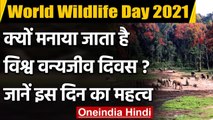 World Wildlife Day क्या है, इसे क्यों मनाया जाता है, जानिए इसके बारे में सबकुछ | वनइंडिया हिंदी