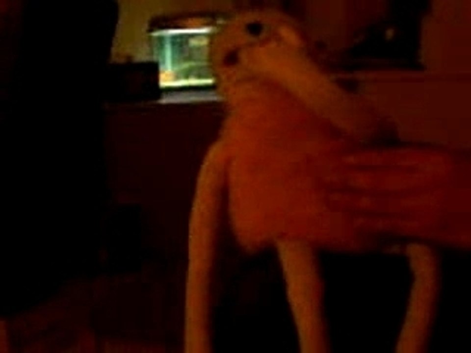 Flat Eric