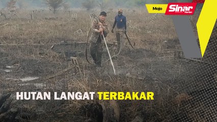 Hutan Langat tebakar
