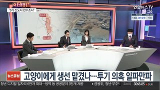 [이슈큐브] LH 직원 100억대 땅 투기의혹…경찰, 수사 착수