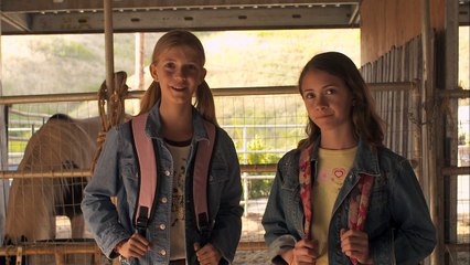 LE CHEVAL DE SARAH Film