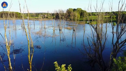 ANTISIPASI BENCANA ALAM, ILMUAN BUAT BUMI DIGITAL
