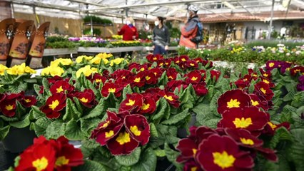 Raus aus dem Lockdown - aber wie?