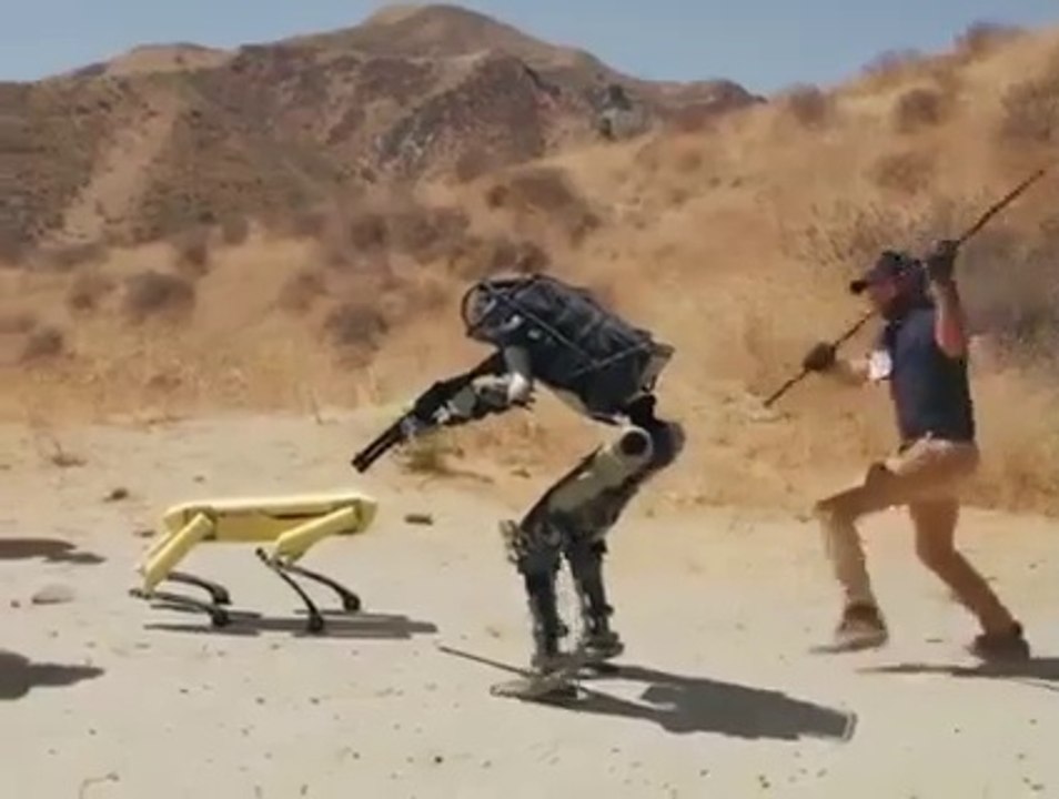 The most intelligent robot in the world |||