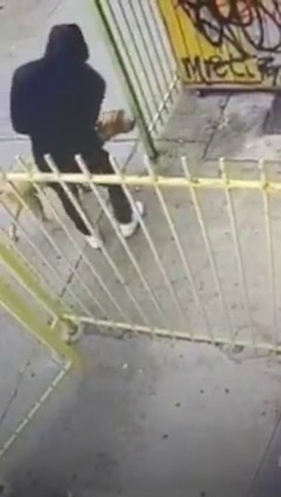 Pittie who was abandoned by his owner outside a store is a 90 pound lap dog now