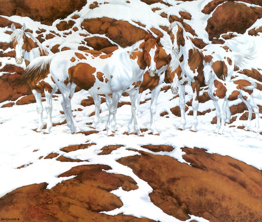 Enigme des chevaux... Combien en voyez-vous?
