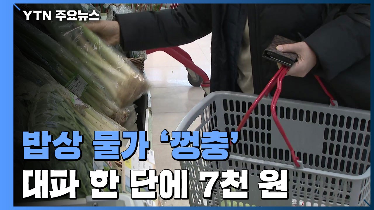 대파 한 단에 7천 원...잦은 한파에 밥상물가 줄줄이 '껑충' / YTN