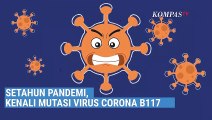 [INFO GRAFIS] Setahun Pandemi, Kenali Mutasi Virus Corona B117