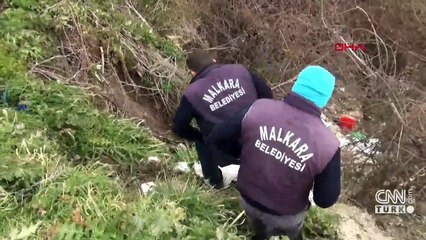 Tekirdağ'da köpeği eziyet ederek öldürdüler