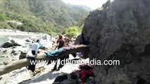 Six foreign tourists discovered living in a Ganga kinare cave in Rishikesh, during Covid19 lockdown