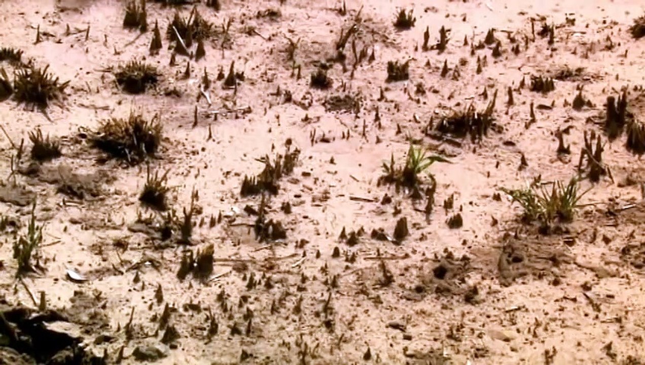 kalahari-afrikas-paradiesische-wuste-folge-2