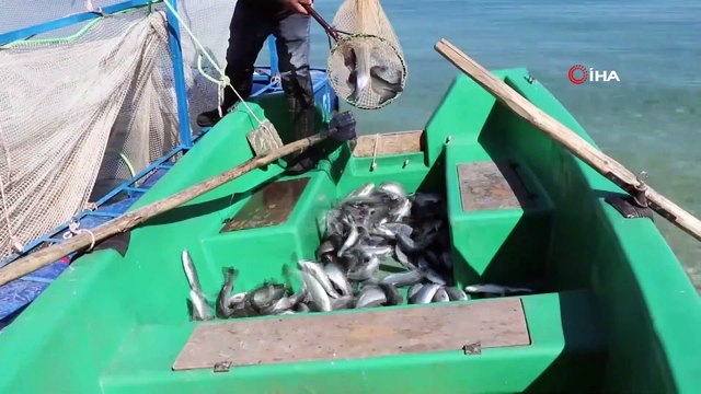 Denize kıyısı olamayan kentten Türkiye’ye yıllık 20 bin ton alabalık