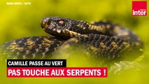 Pas touche aux serpents ! Camille passe au vert