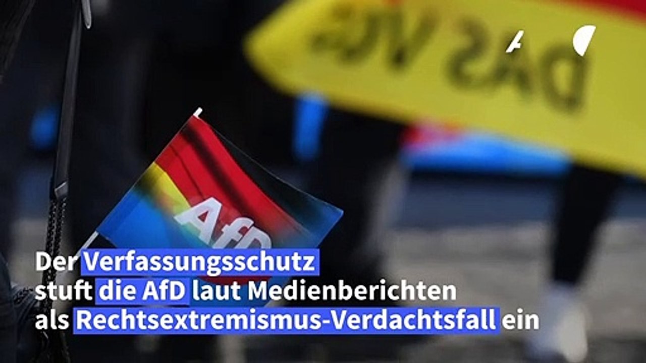 AfD als Rechtsextremismus-Verdachtsfall eingestuft